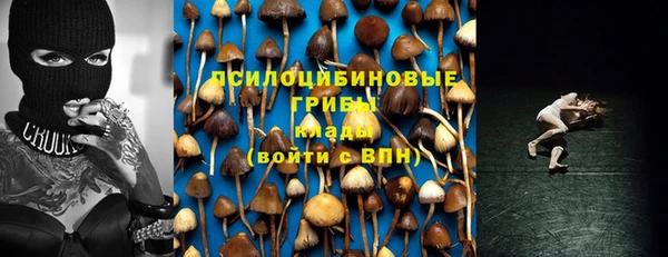 СК Покровск
