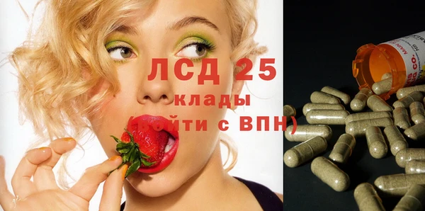 СК Покровск